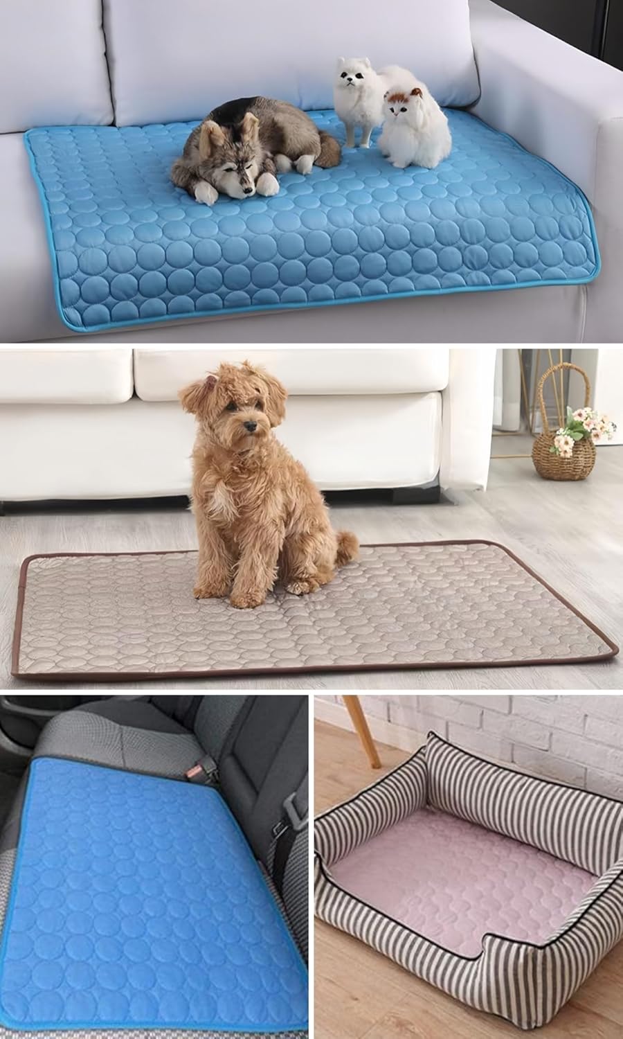 Selbstkühlende Kühlmatte für Hunde und Katzen – waschbar, für Zuhause, Auto und unterwegs, Blau, 50 × 60 cm